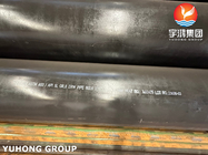 ASTM A106 / A53 / API 5L GR. Surface de revêtement noir de tuyau sans soudure en acier au carbone B