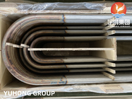 Tube sans couture de coude en U d'acier inoxydable d'ASTM A213 TP304 pour l'échangeur de chaleur