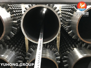 ASTM A106 Gr. B Tubes enduites sans soudure en acier au carbone, tubes à aileron pour fours à vapeur