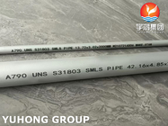 Résistance à la corrosion élevée de duplex d'ASTM A790 S31803 de tuyau superbe de l'acier inoxydable SMLS