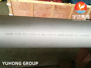 Pipe sans soudure en acier inoxydable ASTM A312 TP304 destinée à l'énergie, à l'industrie minière et chimique