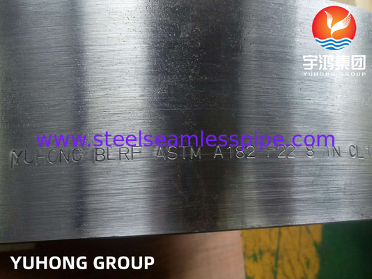 ASTM A182 F22 acier allié forgé à bride aveugle face soulevée B16.5