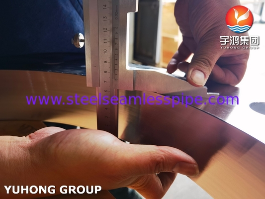 ASTM A182 F904L Flanges en acier inoxydable avec une excellente résistance à la corrosion