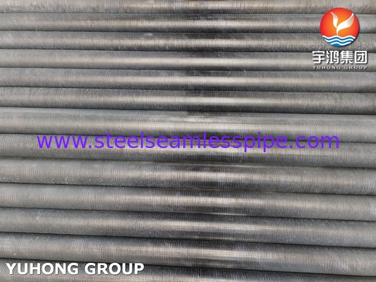 ASTM269 TP304 TUBE sans soudure Tube à aileron extrudé en acier inoxydable pour échangeur de chaleur