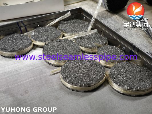 Tuyau d' aiguille d' injection en acier inoxydable, SUS304 16G Aiguille vétérinaire pour soins aux animaux