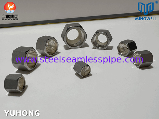 Noix en acier inoxydable SS316L pour les connexions de tuyaux de tuyauterie