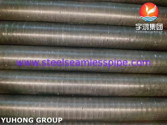 ASTM A333 Acier en alliage de carbone sans soudure Gr 1 Tubes à aileron bas pour les projets de raffineries