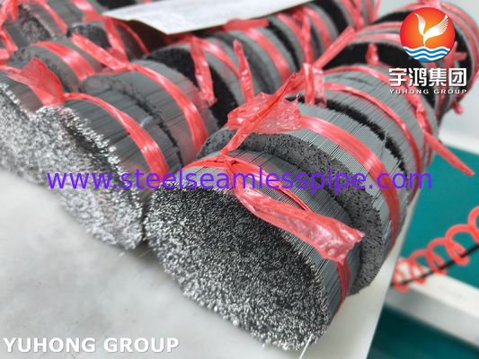 Tube d'aiguille hypodermique biseautée en acier inoxydable médical pour administration de médicaments SUS304