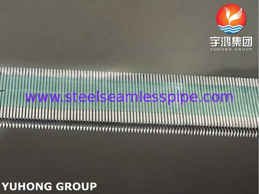 Aiguille de fistule AV en acier inoxydable médical SUS304 ISO9626 pour hémodialyse