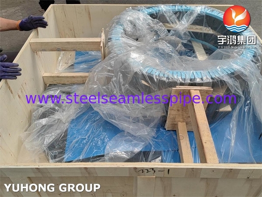 ASTM A105 Série B d'acier au carbone Flange à coude de soudure B16.47 pour tuyauterie