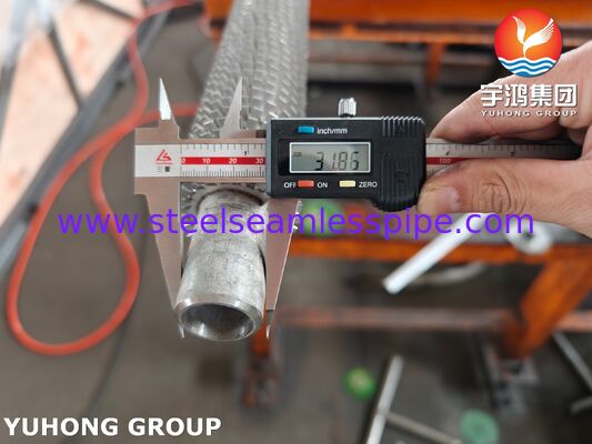 Tubes à nageoires serrées soudés à haute fréquence TP304H Base / SS304 Fin