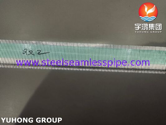 Canule AVF en acier inoxydable médical SUS304 haute performance pour l' hémodialyse avec gamme de mesures 15G-17G et surface micro-polissée