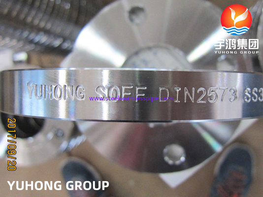 DIN2573 F316L Flanche coulissante en acier inoxydable (face plate), utilisée dans des environnements à haute température
