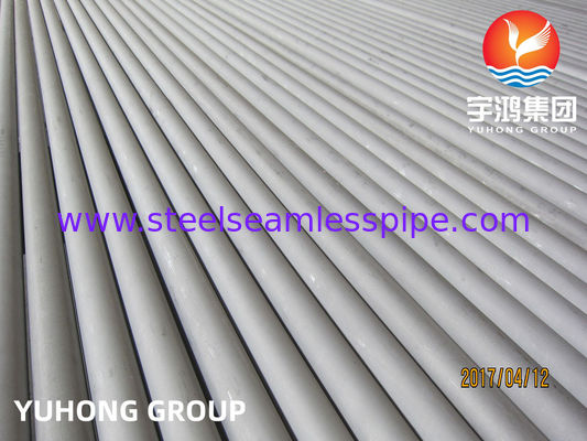 Les tuyaux d'acier inoxydables duplex superbes, en 10216-5 1,4462/1,4410, UNS32760 (1,4501), ont mariné et ont recuit, 20ft