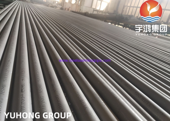 Pipe sans soudure en acier inoxydable pour l'industrie chimique